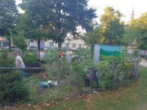 Urban Gardening Projekt